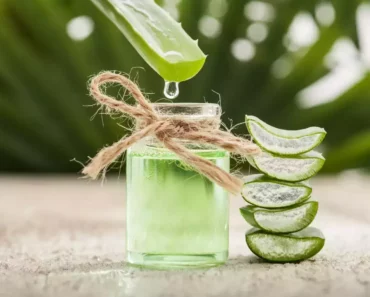 Lose Belly Fat Fast with 4 Simple Aloe Vera Recipes