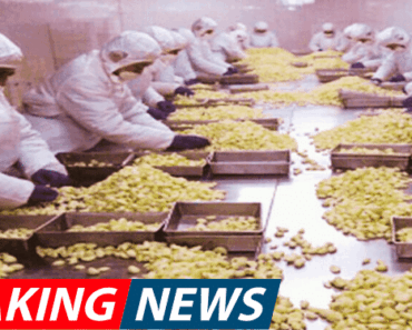 Here Is How to Check If Your Garlic Is Imported From China and Treated With Bleach or Chemicals