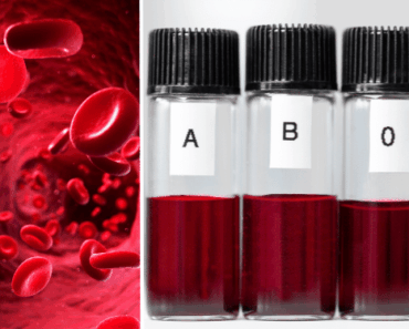 Do You Have the ‘Worst’ Blood Type? Discover the Hidden Risks and Surprising Benefits of Each Type!