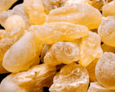 The King of All Oils: Nature’s Remedy for Migraines, Anxiety, and Depression!