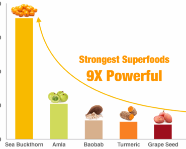 Fruits Rich in Antioxidants: A Comprehensive Guide
