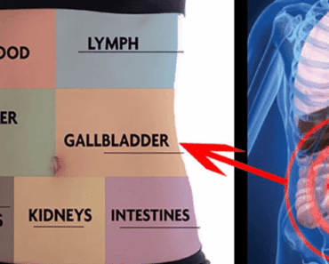 How to Detox Every Organ In Your Body and Never Be Tired Again