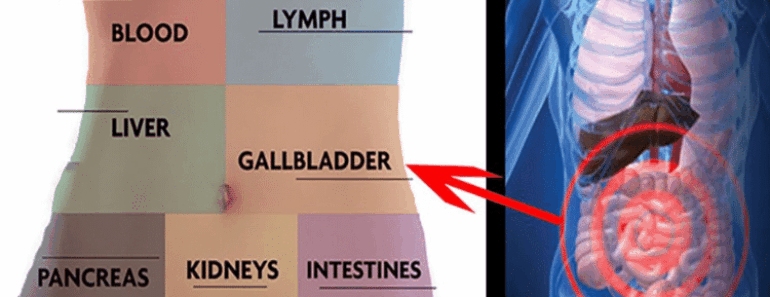 How to Detox Every Organ In Your Body and Never Be Tired Again