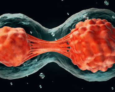 Starve Cancer to Death: Remove This One Thing From Your Diet Immediately