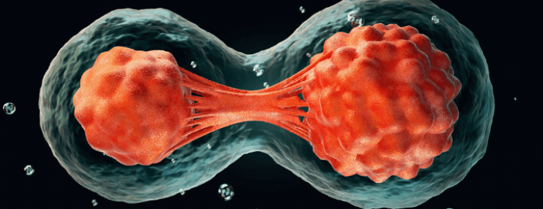 Starve Cancer to Death: Remove This One Thing From Your Diet Immediately