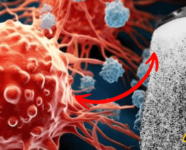 Scientists Warn: This Everyday Food Doesn’t Just Feed Cancer—It Creates It!