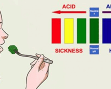 List Of The Most Alkaline Foods on the Planet (Eat More of These for Flawless Health!)