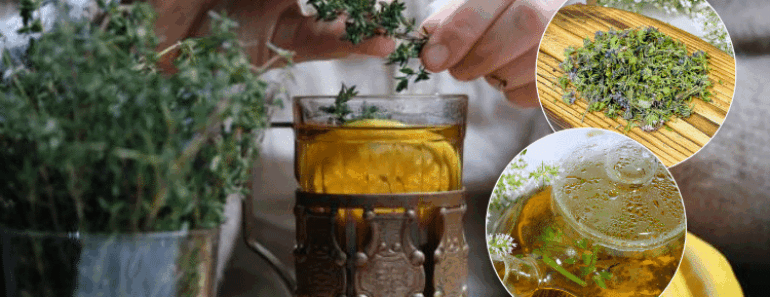 This Ancient Herb Destroys Vertigo, Lupus, Fibromyalgia, Arthritis, Fatigue, and More — Doctors Are Stunned!
