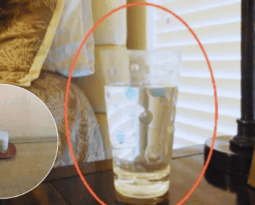 Put a Glass of Water with Salt and Vinegar in Your Home — What Happens After 24 Hours Will Shock You!