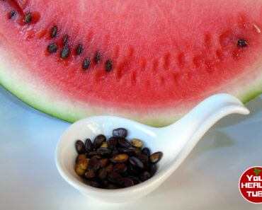 You’ve Been Spitting Them Out — But Here’s What Really Happens When You Eat Watermelon Seeds