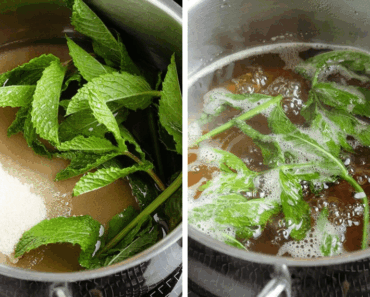 Cook Mint, Drink the Liquid, and Get Rid of These Health Problems